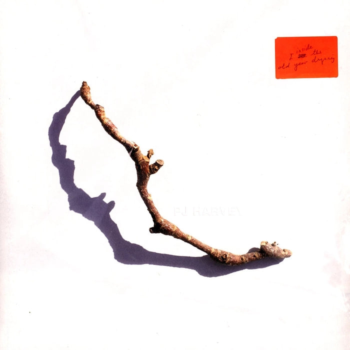 PJ Harvey – I Inside The Old Year Dying