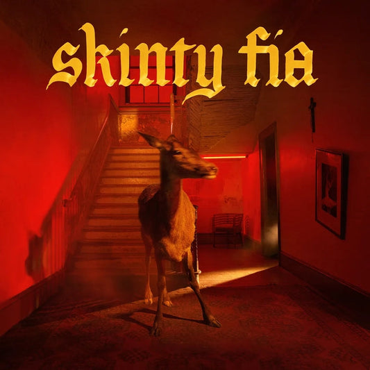 Fontaines D.C. – Skinty Fia (Black Vinyl)
