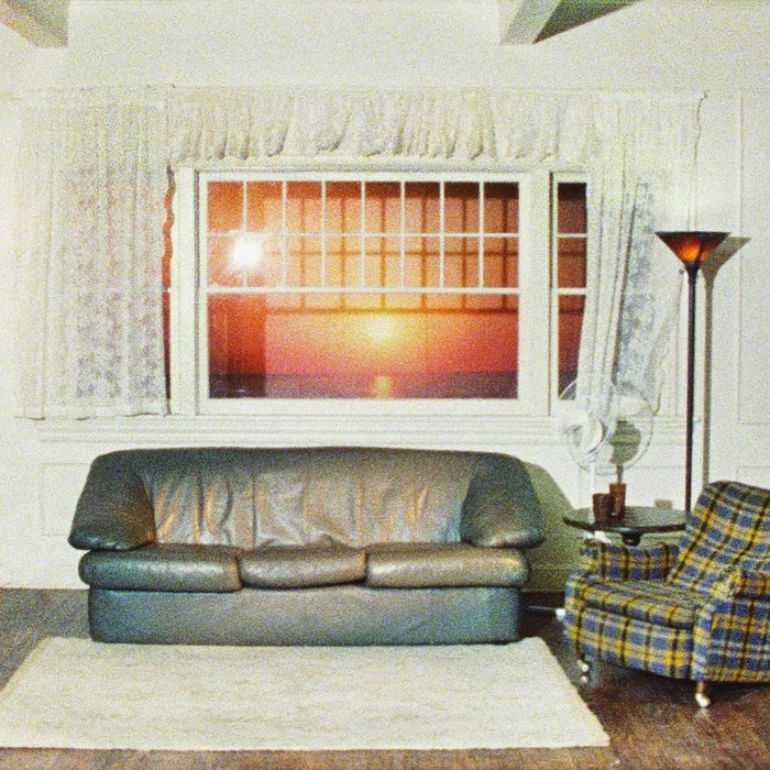 Wallows – Model (Clear Vinyl)