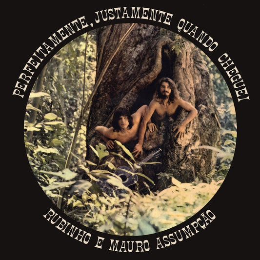 Rubinho E Mauro Assumpção – Perfeitamente, Justamente Quando Cheguei