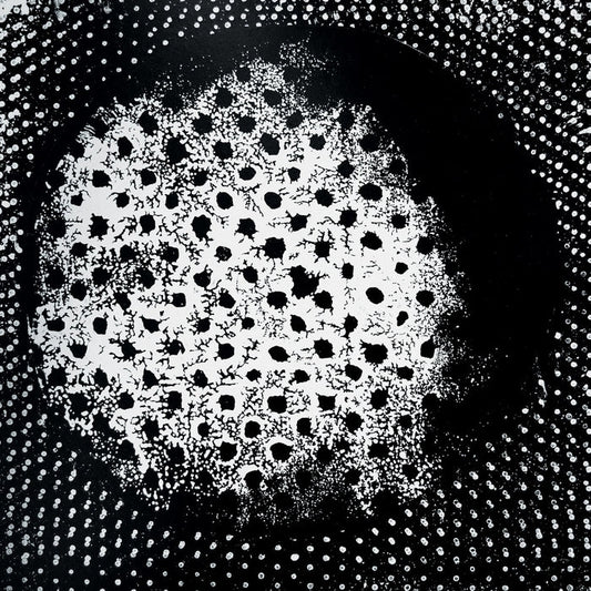 Biosphere – Patashnik (2xLP)