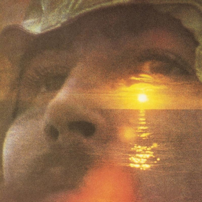 David Crosby – If I Could Only Remember My Name (2xLP, 180g, 45RPM, Analogue Productions Atlantic 75 Series)
