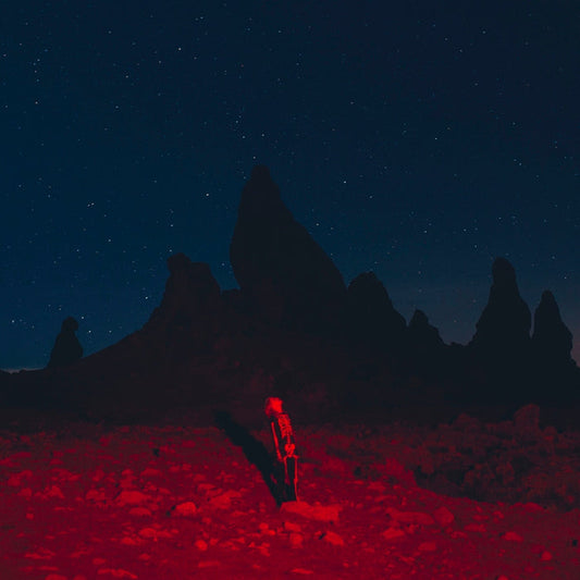 Phoebe Bridgers – Punisher
