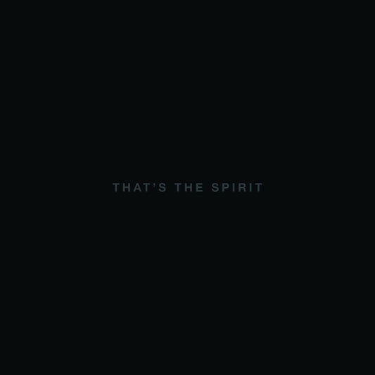 Bring Me The Horizon – That's The Spirit